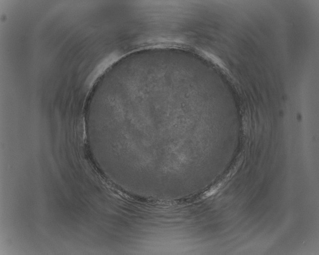 X0000073721267200608171154