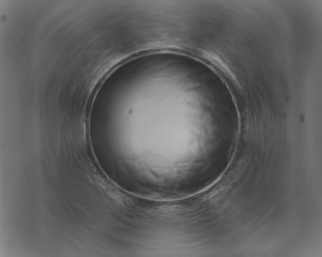 X0000073721268200608171154