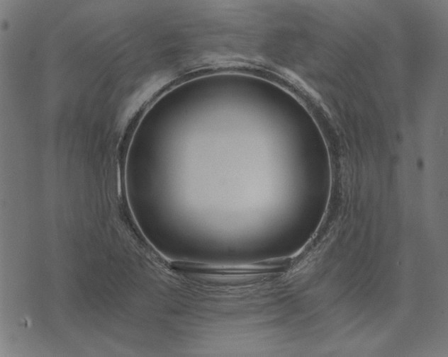 X0000073721269200608171154