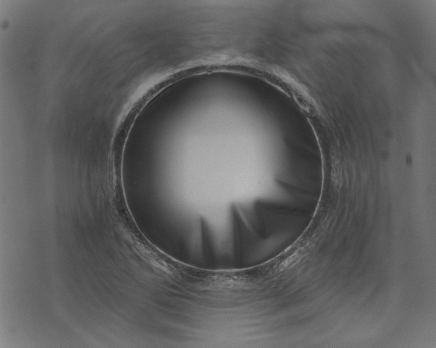 X0000073721270200608171154