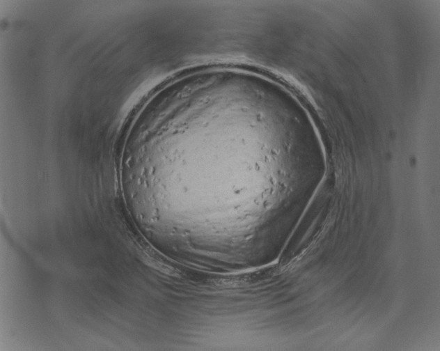 X0000073721271200608171154