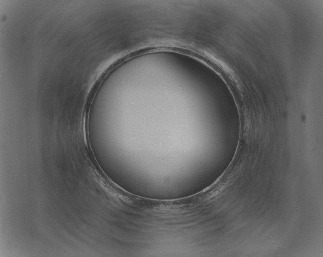 X0000073721272200608171154