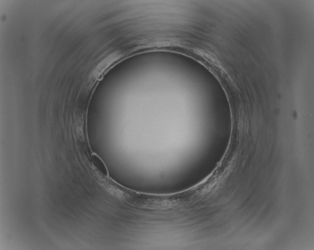 X0000073721273200608171154