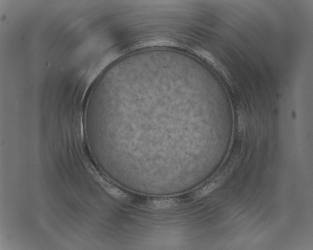 X0000073721274200608171154