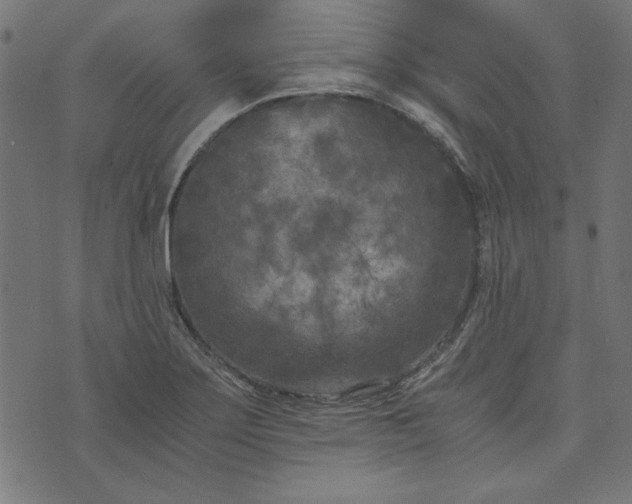 X0000073721275200608171154