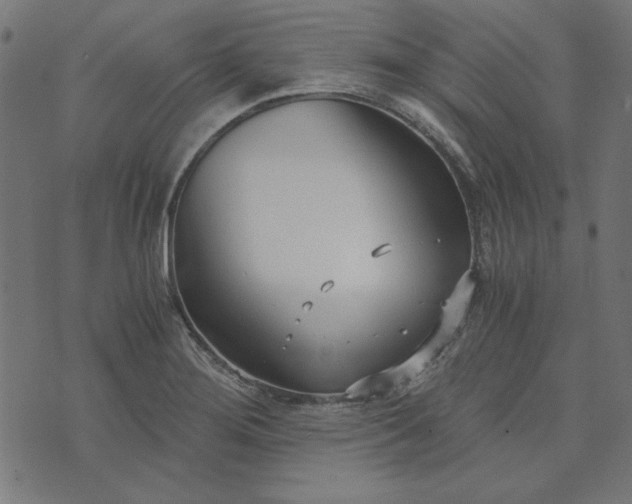 X0000073721276200608171154