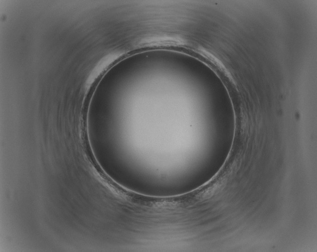 X0000073721277200608171154