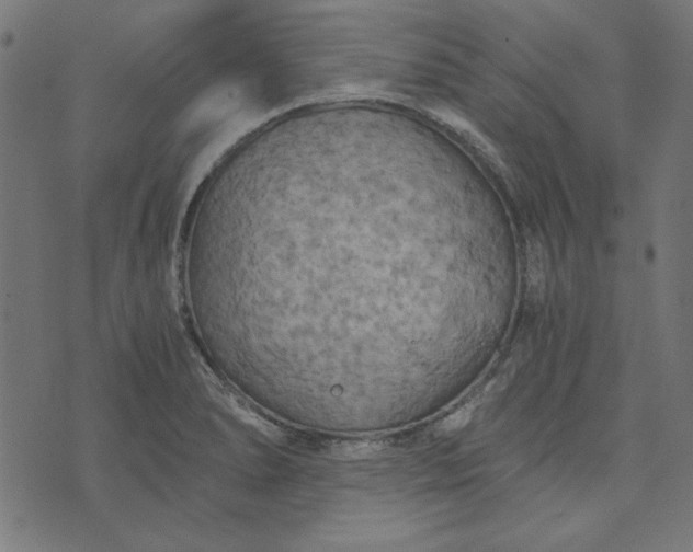 X0000073721278200608171154