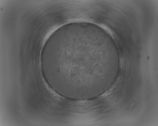 X0000073721279200608171154