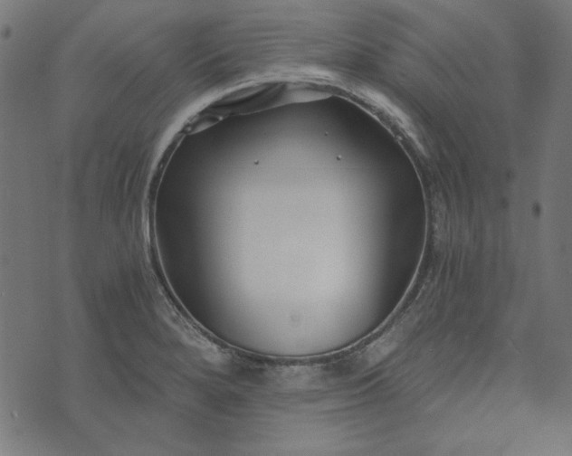 X0000073721280200608171154