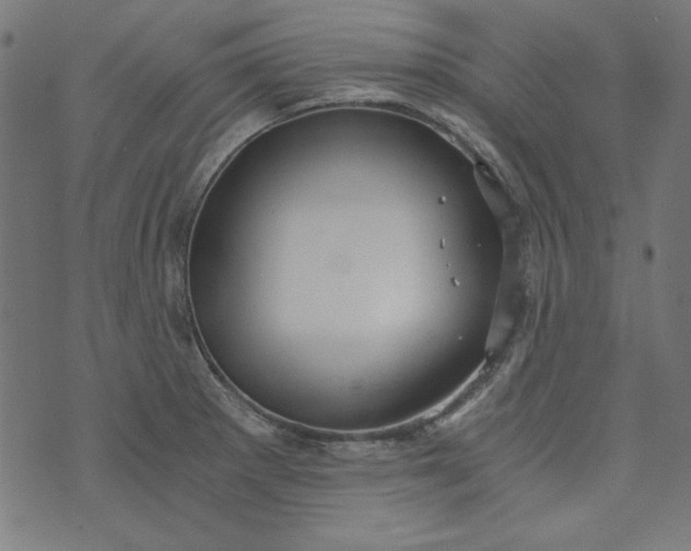 X0000073721281200608171154