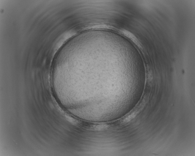 X0000073721282200608171154