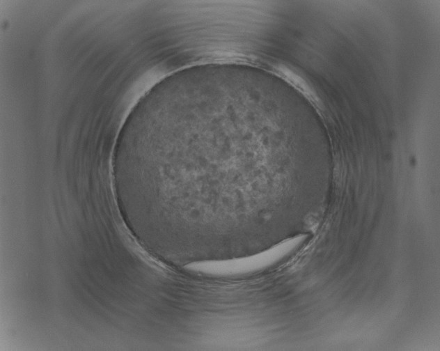 X0000073721283200608171154