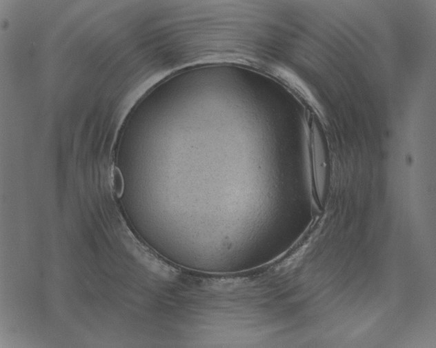 X0000073721284200608171154