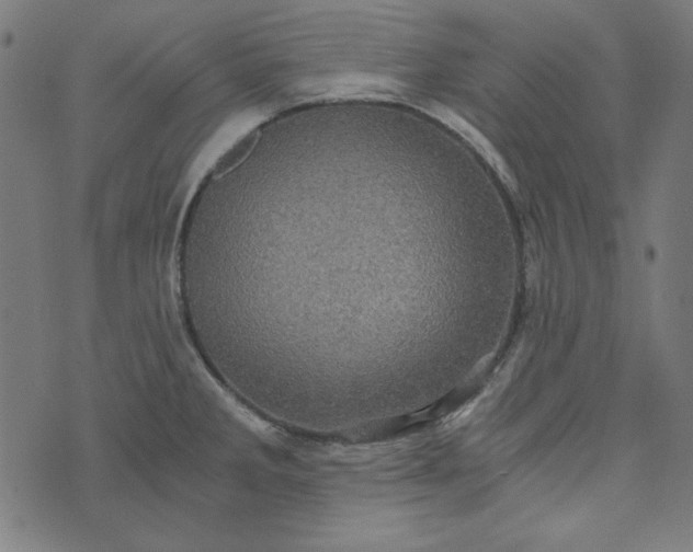 X0000073721285200608171154