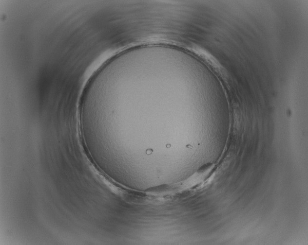 X0000073721286200608171154