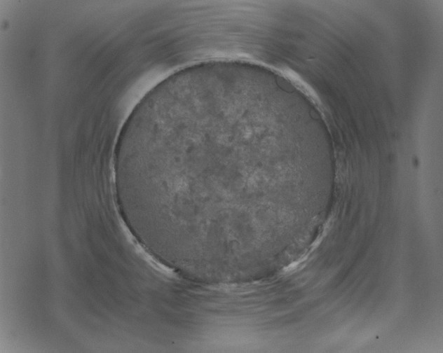 X0000073721287200608171154