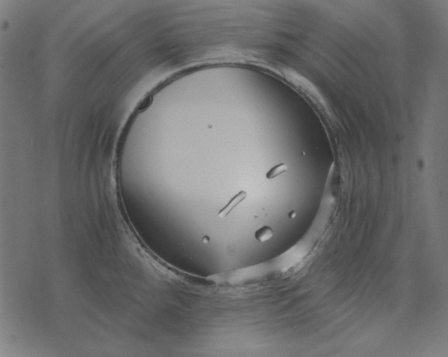 X0000073721288200608171154