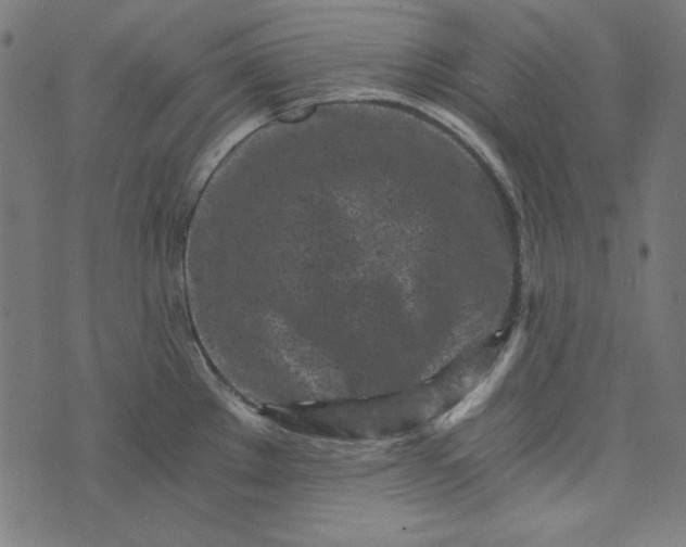 X0000073721289200608171154