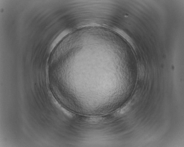 X0000073721290200608171154