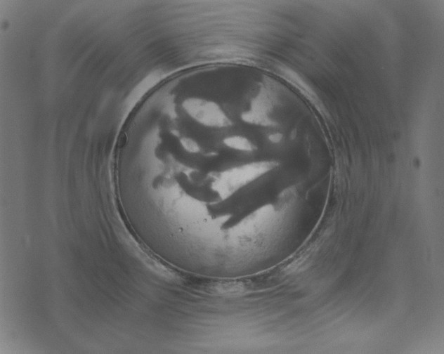 X0000073721291200608171154