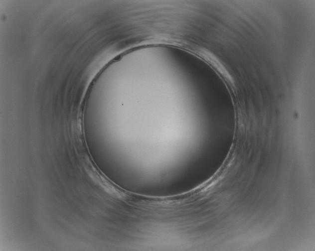 X0000073721292200608171154