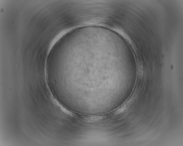 X0000073721294200608171154