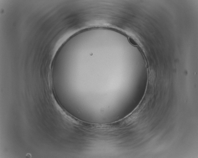 X0000073721295200608171154