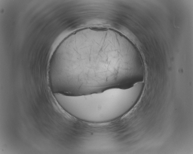 X0000073721296200608171154