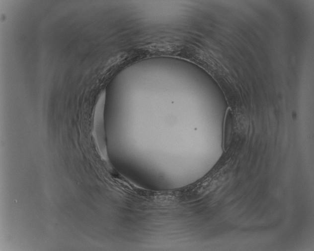 X0000073721297200608171153