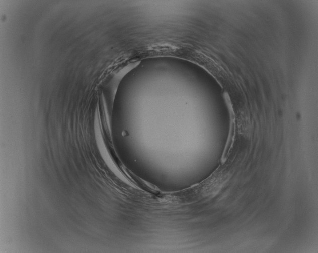 X0000073721298200608171153