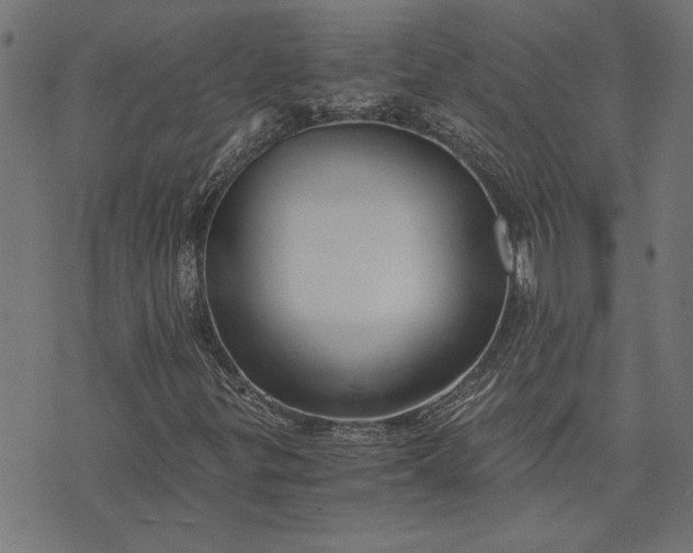 X0000073721299200608171153