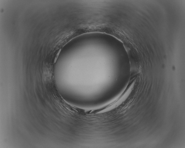 X0000073721300200608171153