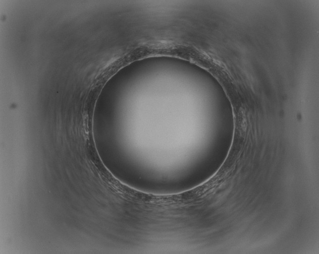 X0000073721301200608171153