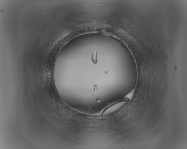 X0000073721302200608171153