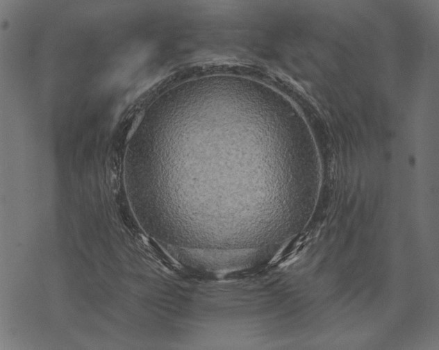 X0000073721303200608171153