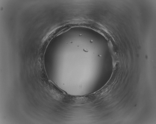 X0000073721304200608171153