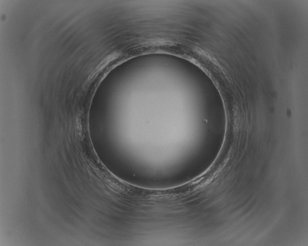 X0000073721305200608171153