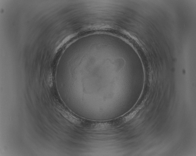 X0000073721306200608171153