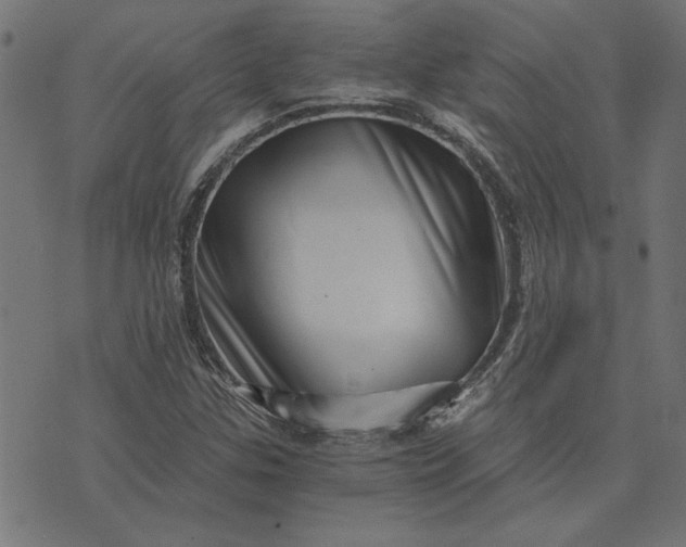 X0000073721307200608171153