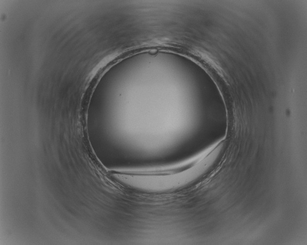 X0000073721308200608171153