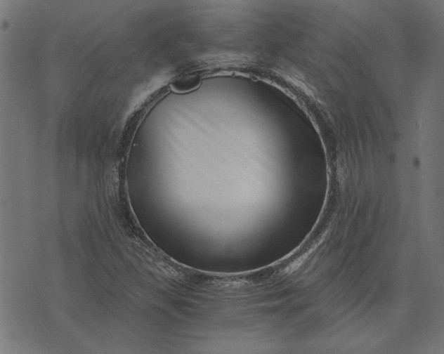 X0000073721309200608171153