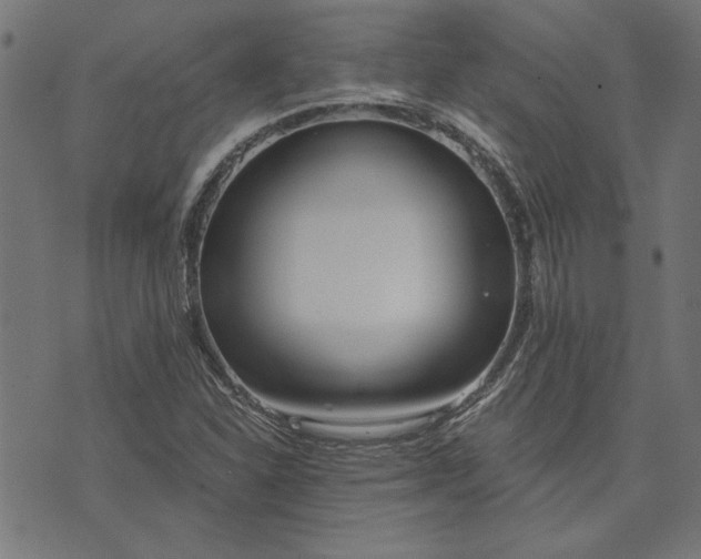 X0000073721310200608171153