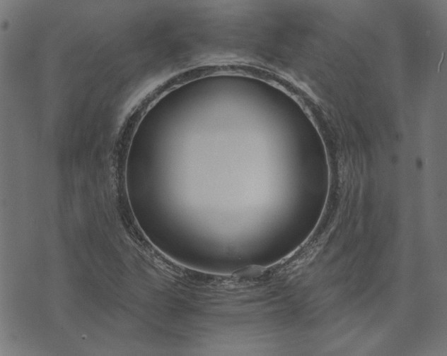 X0000073721311200608171153