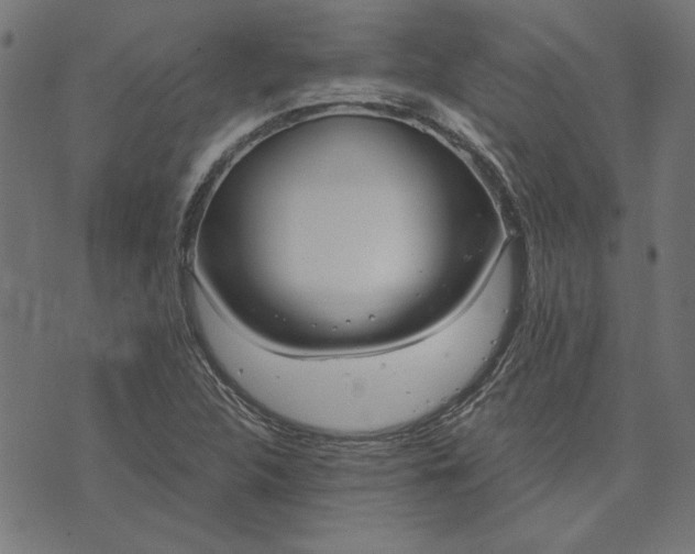 X0000073721312200608171153