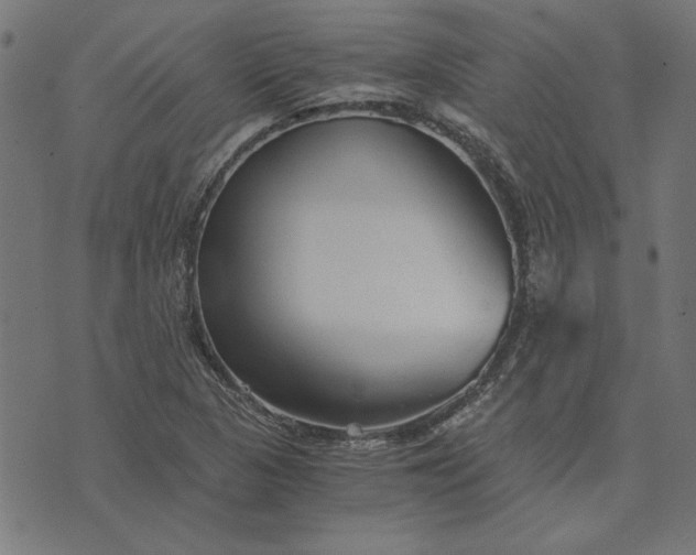 X0000073721313200608171153