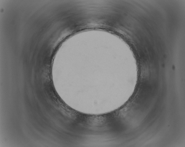 X0000073721314200608171153