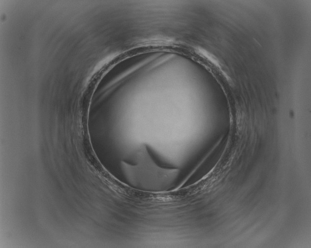 X0000073721315200608171153