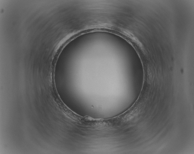 X0000073721316200608171153