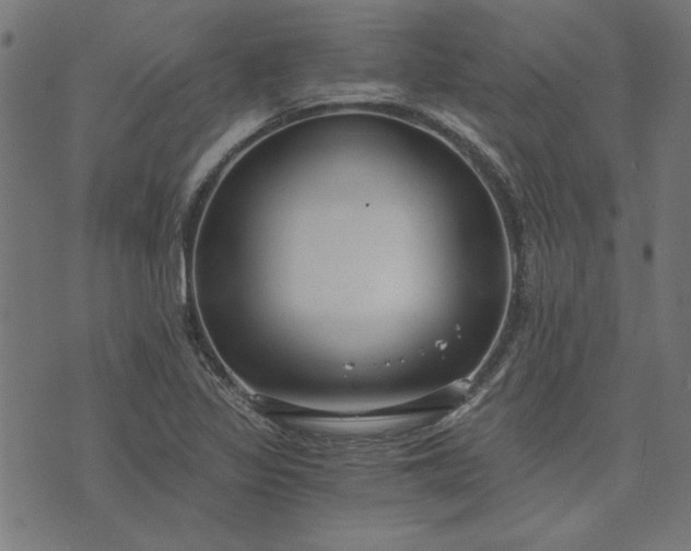 X0000073721317200608171153